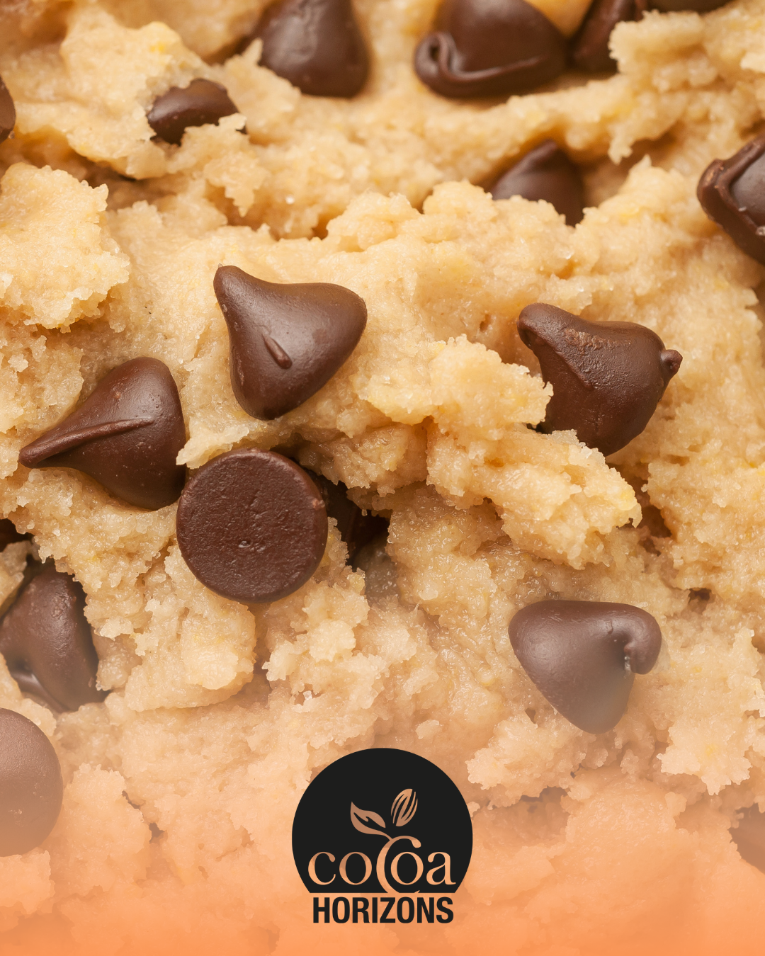 chocolate certified by cocoa horizons